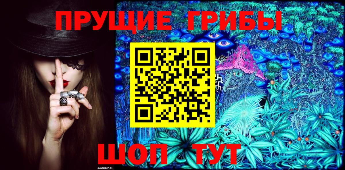 Псилоцибиновые грибы GOLDEN TEACHER  Вход с VPN  Каменск-Шахтинский 